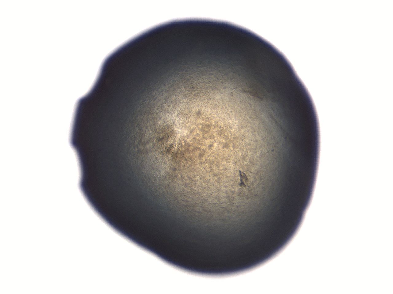 06aq_C11_ImagerDefaults_3.jpg