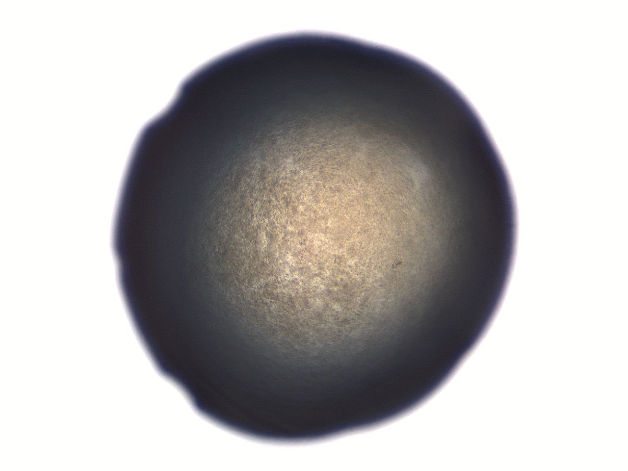 06aq_C12_ImagerDefaults_3.jpg