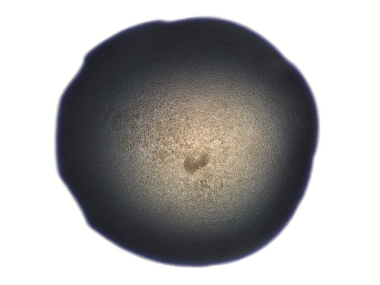 06aq_D6_ImagerDefaults_3.jpg