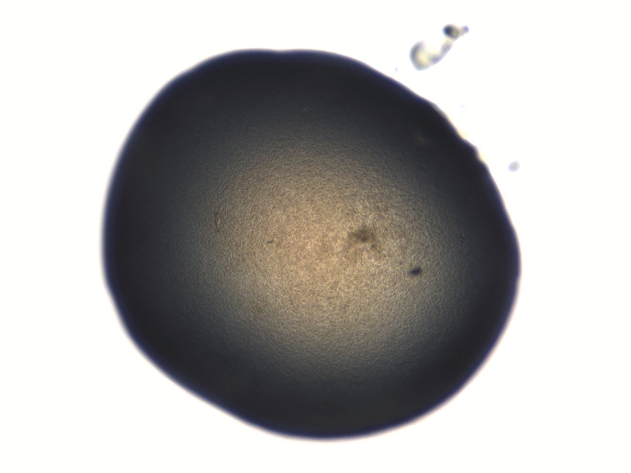 06aq_D7_ImagerDefaults_3.jpg