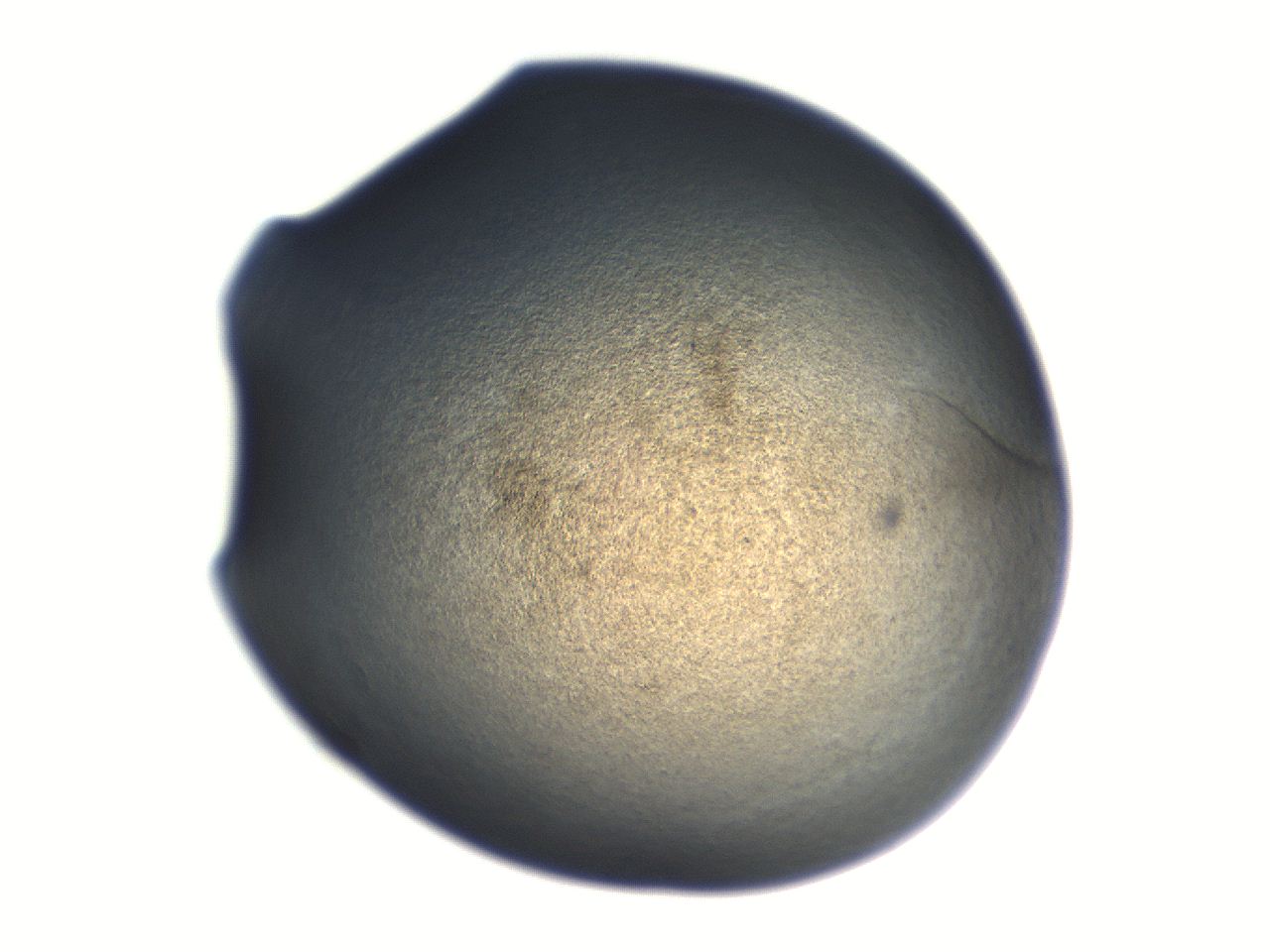 06aq_E2_ImagerDefaults_3.jpg