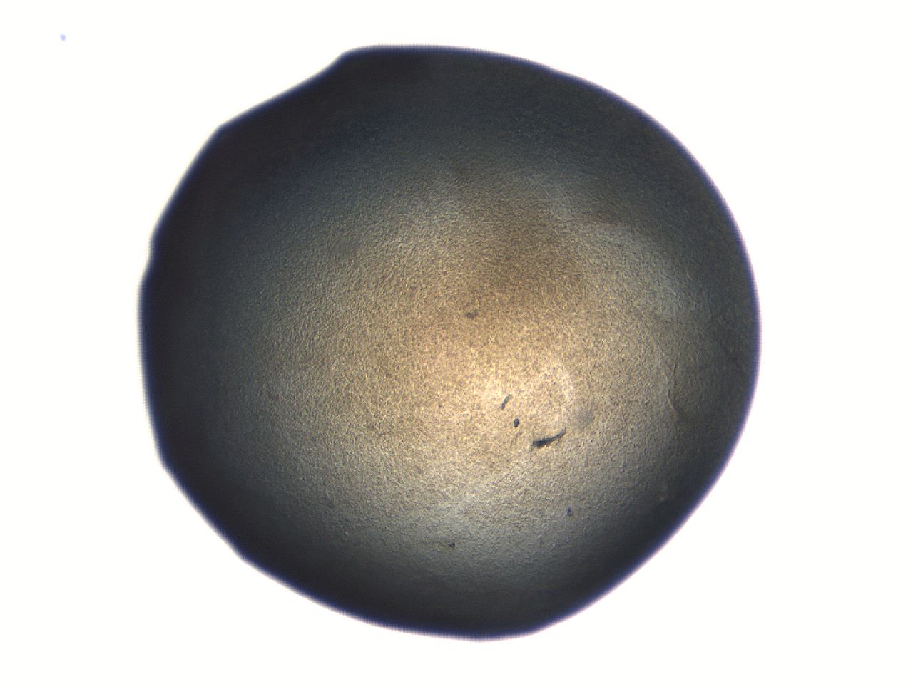 06aq_E4_ImagerDefaults_3.jpg