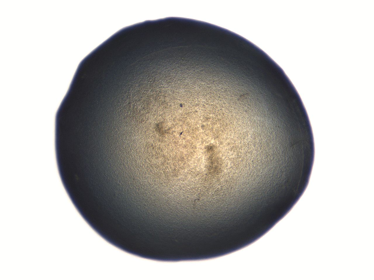 06aq_E7_ImagerDefaults_3.jpg