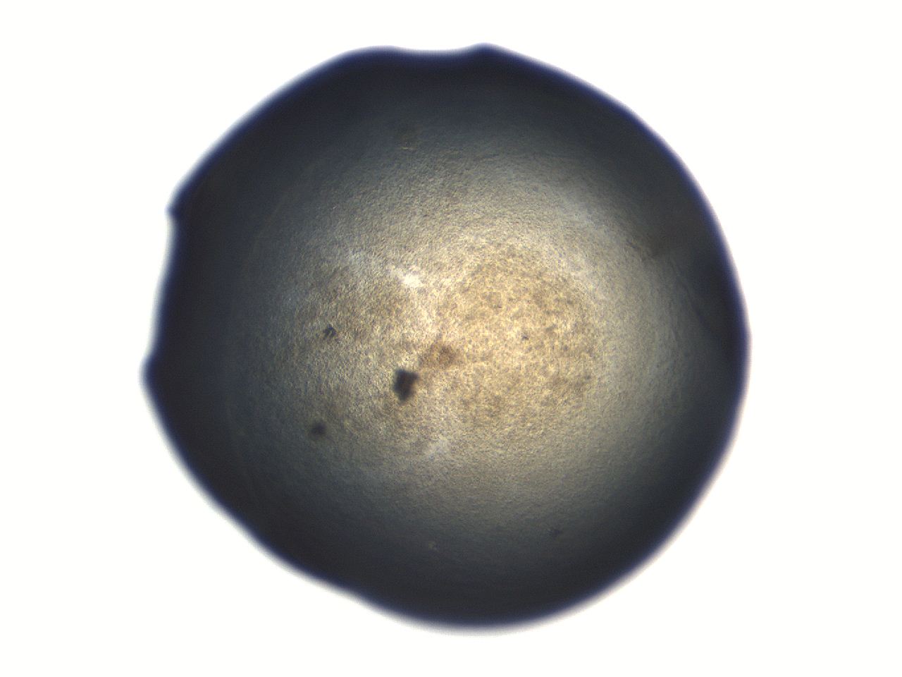 06aq_E10_ImagerDefaults_3.jpg