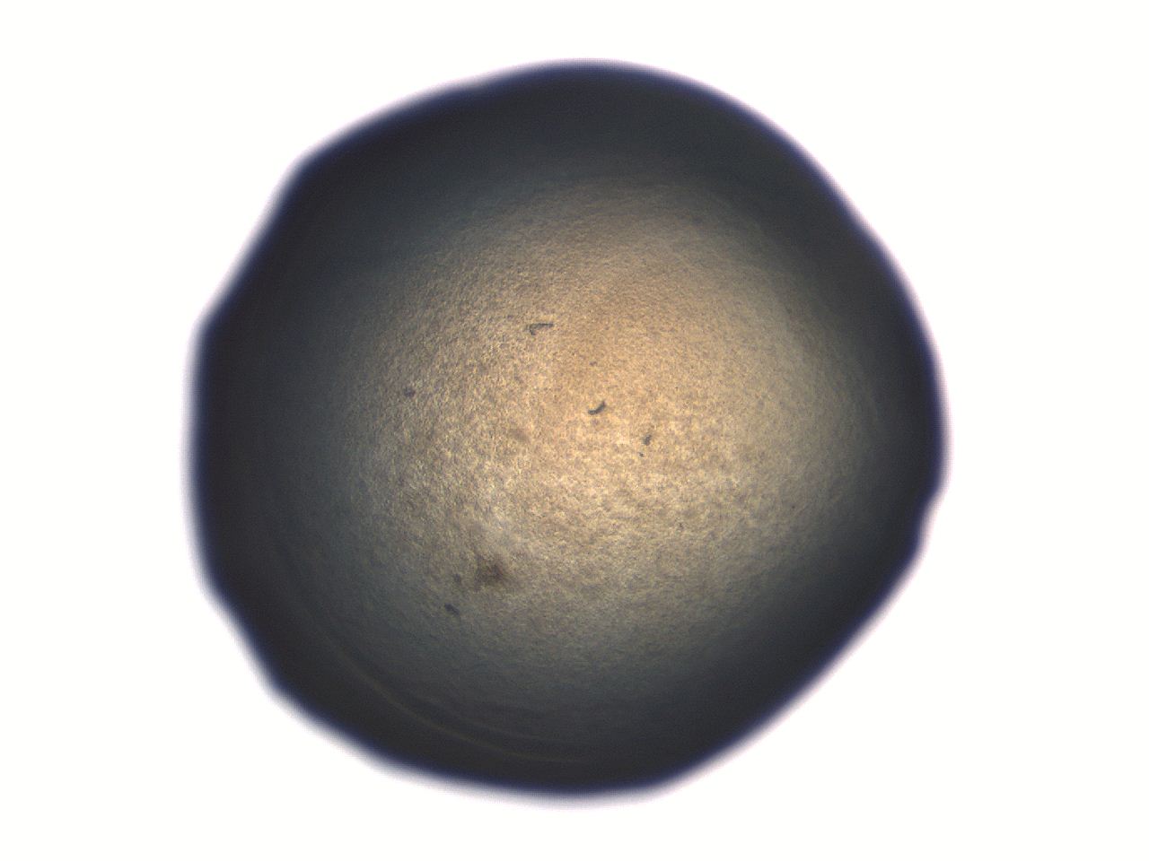 06aq_E11_ImagerDefaults_3.jpg