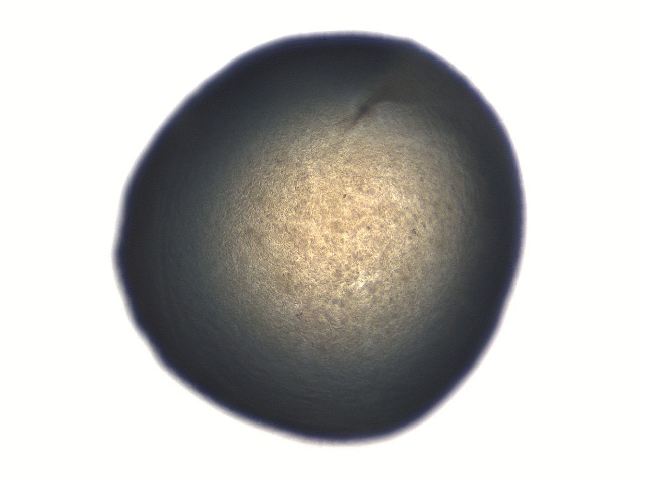 06aq_E12_ImagerDefaults_3.jpg