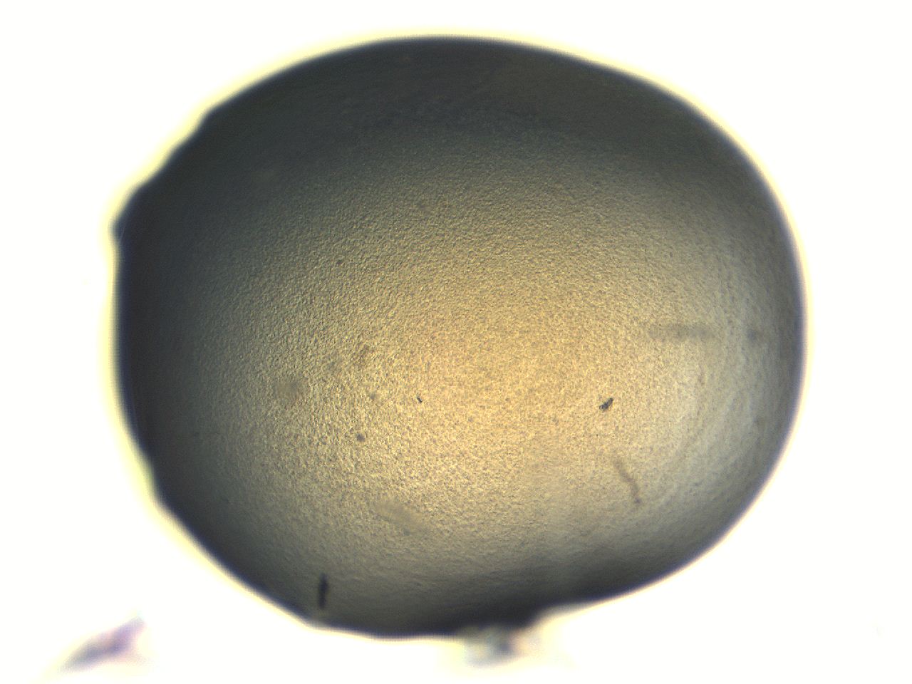 06aq_F2_ImagerDefaults_3.jpg