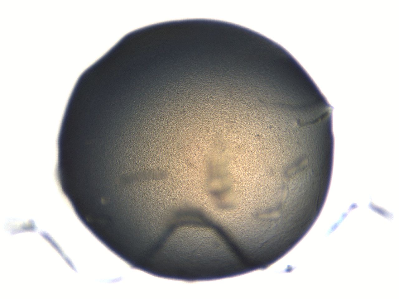 06aq_F3_ImagerDefaults_3.jpg