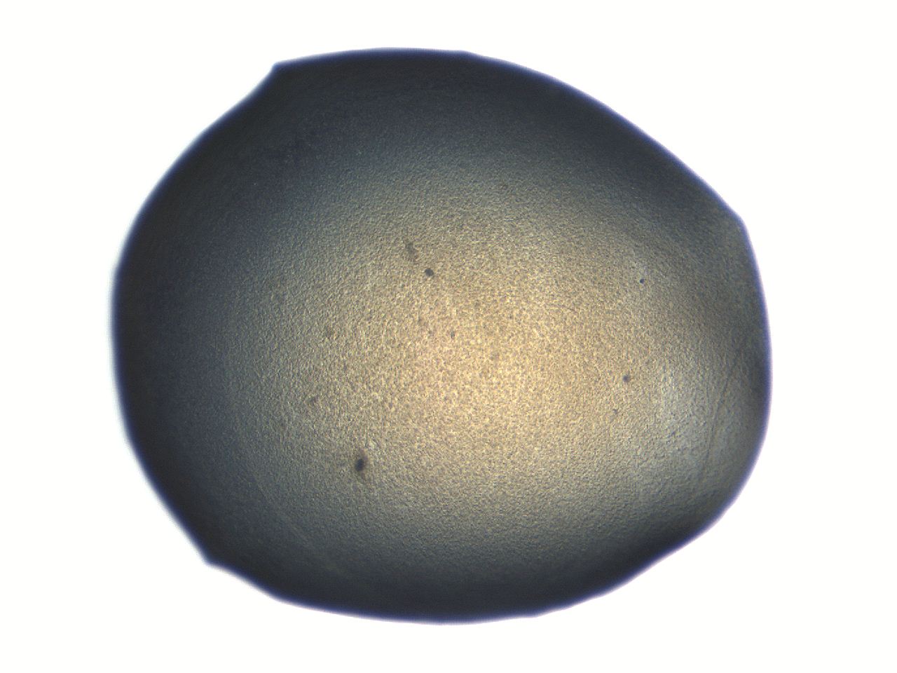 06aq_F6_ImagerDefaults_3.jpg