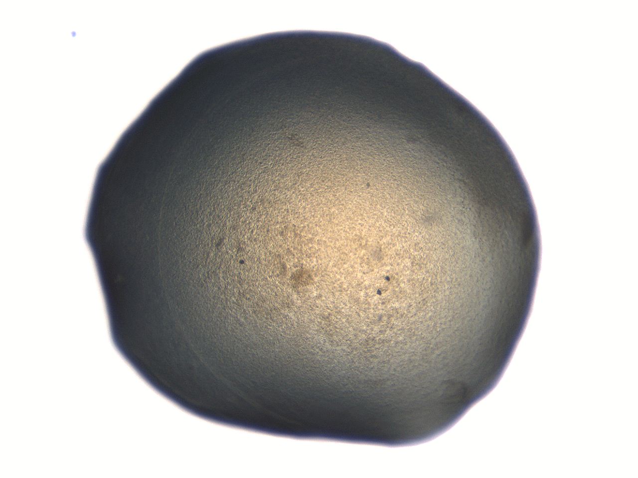 06aq_F7_ImagerDefaults_3.jpg