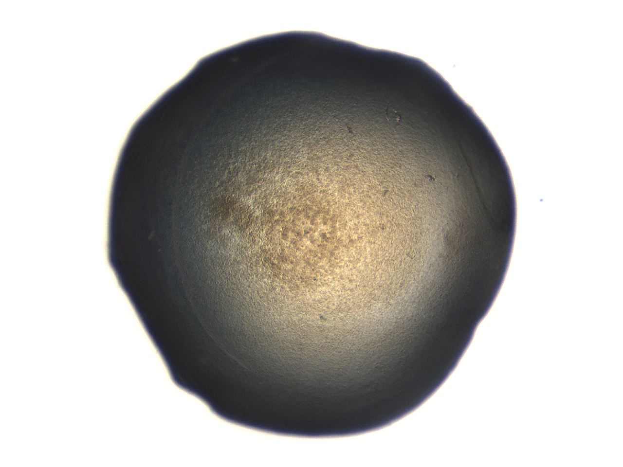 06aq_F8_ImagerDefaults_3.jpg