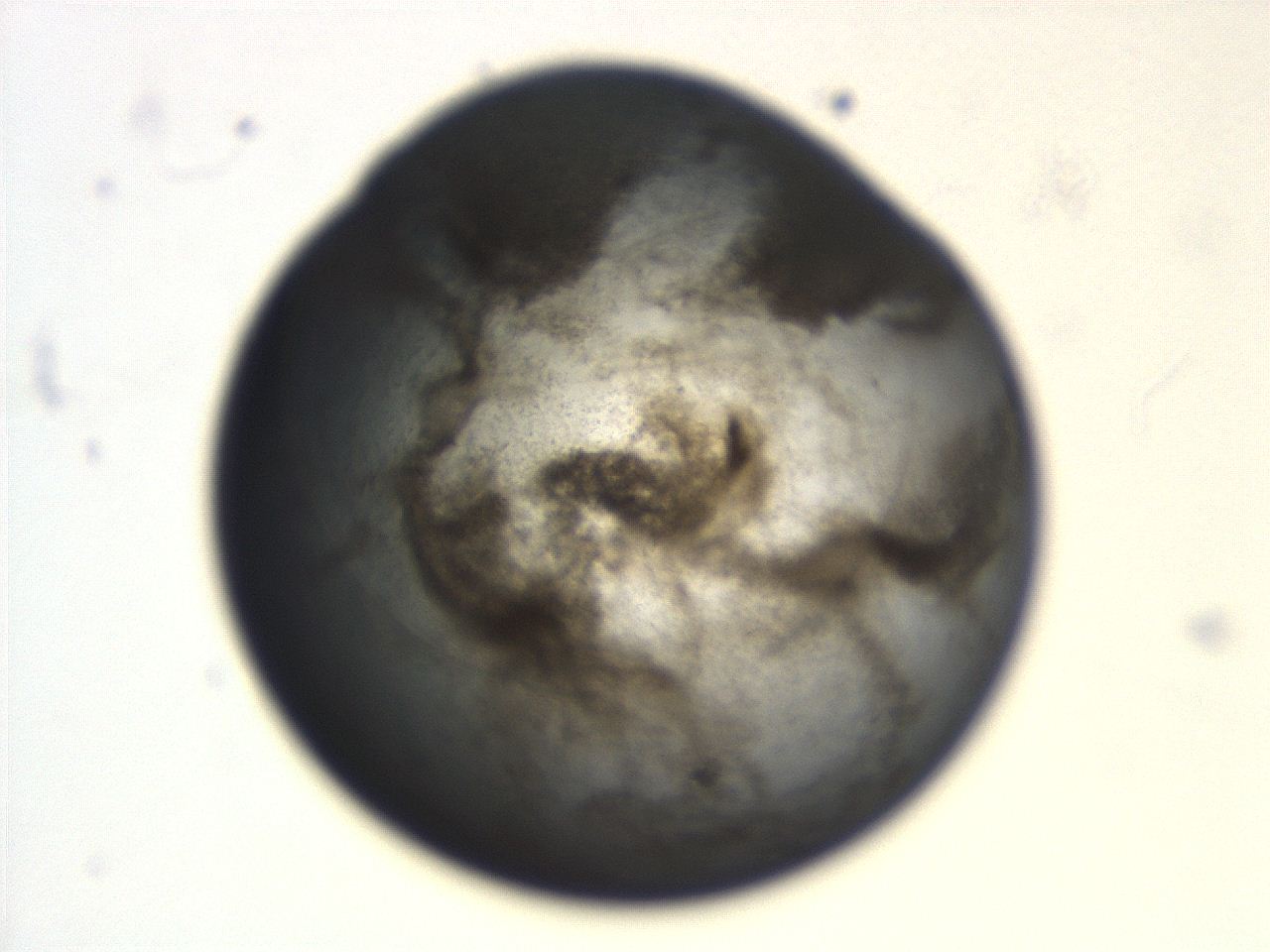 06aq_F12_ImagerDefaults_3.jpg