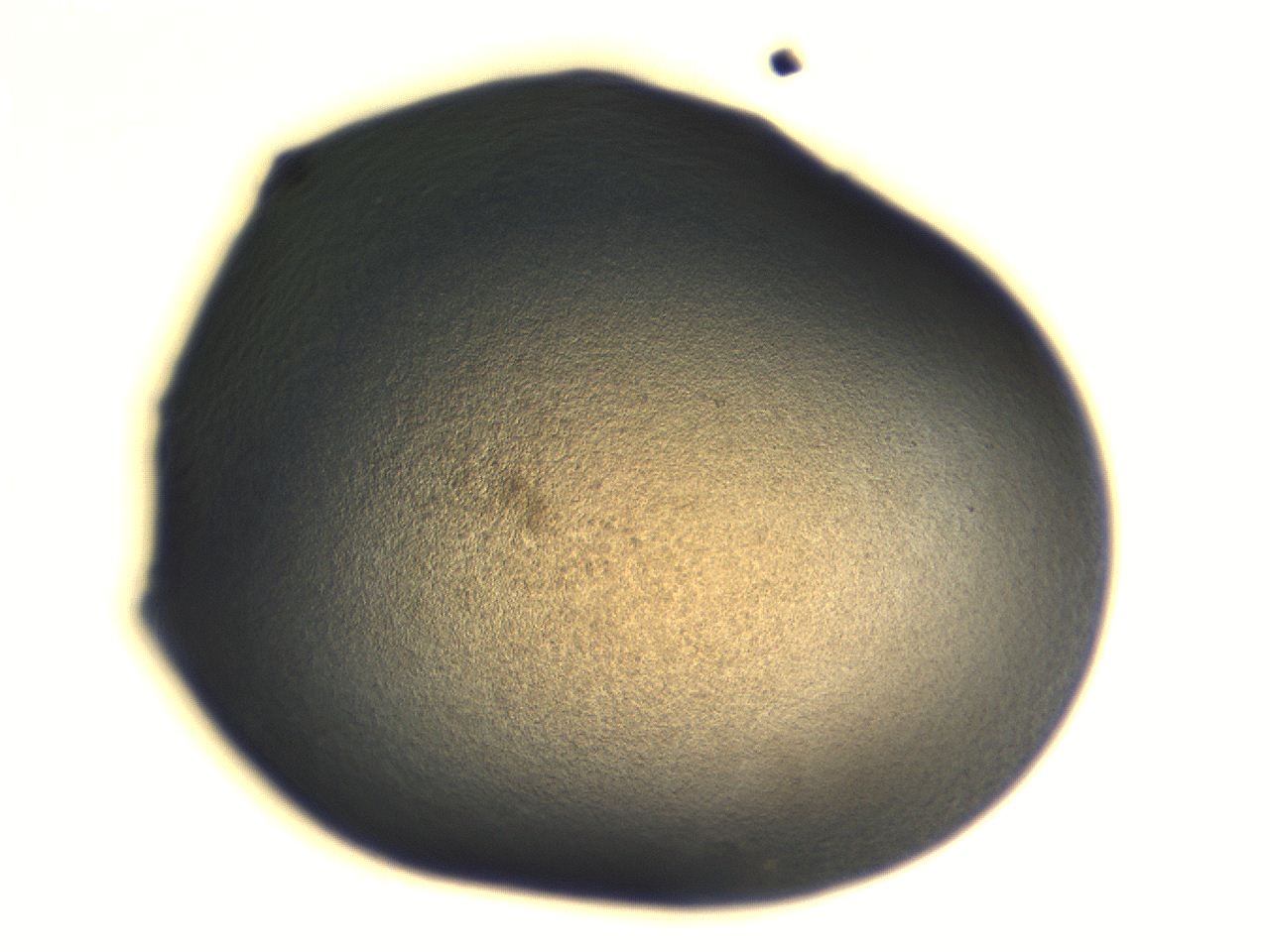 06aq_G2_ImagerDefaults_3.jpg