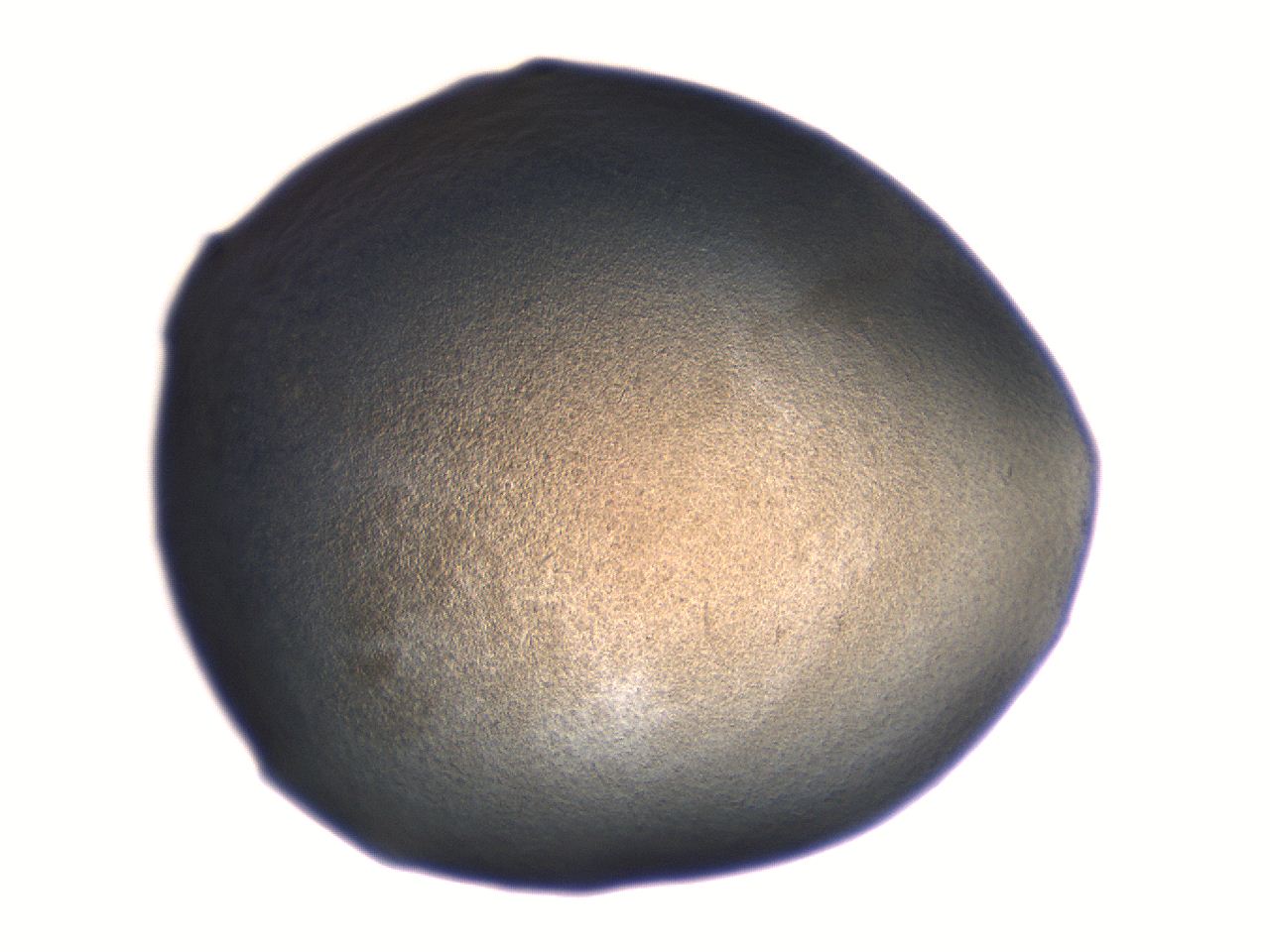 06aq_G3_ImagerDefaults_3.jpg