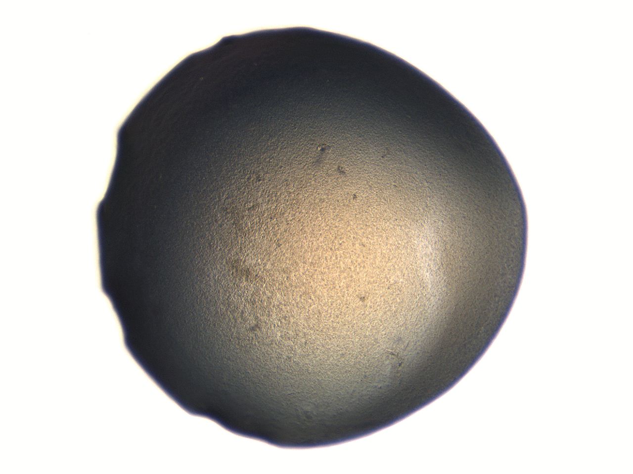 06aq_G4_ImagerDefaults_3.jpg