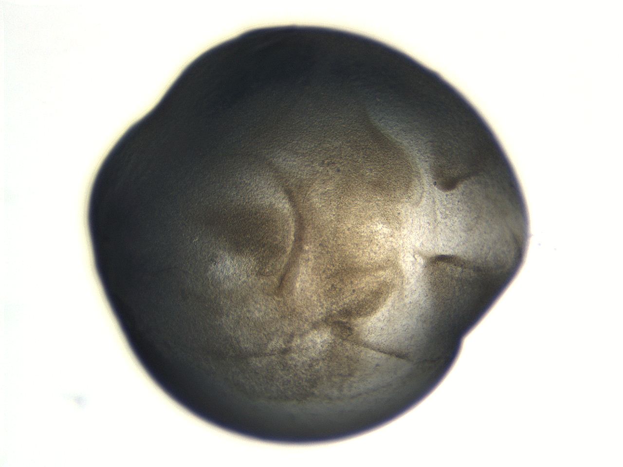 06aq_G5_ImagerDefaults_3.jpg