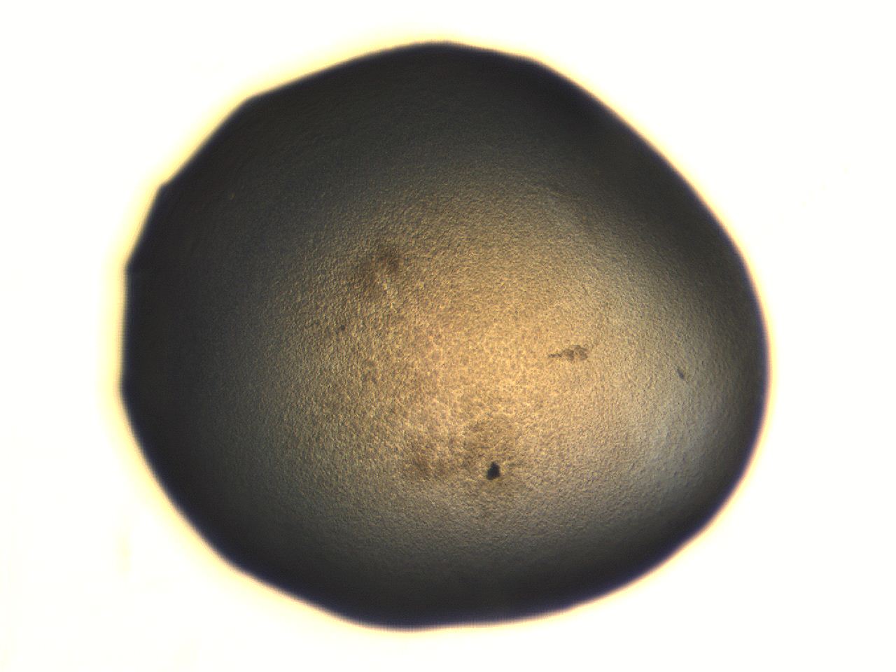 06aq_G6_ImagerDefaults_3.jpg