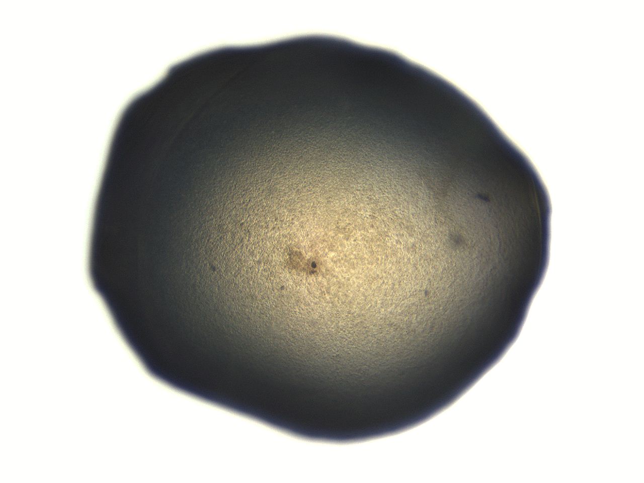 06aq_G7_ImagerDefaults_3.jpg