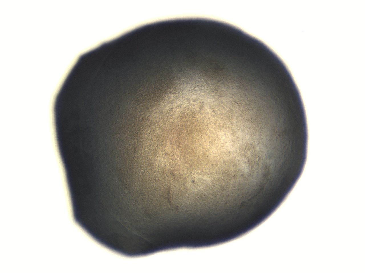 06aq_G8_ImagerDefaults_3.jpg