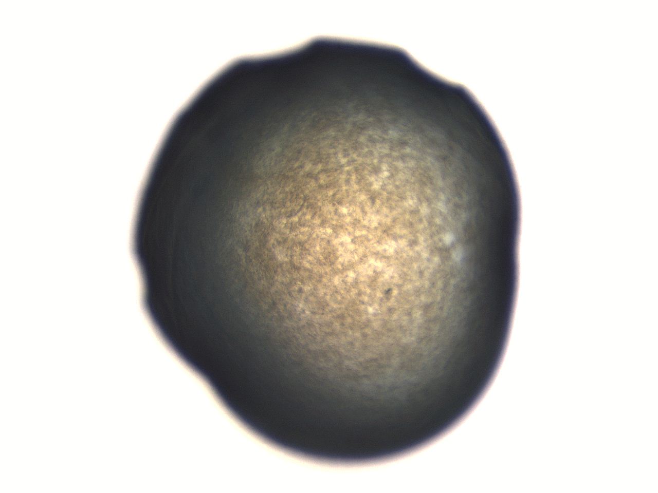 06aq_G12_ImagerDefaults_3.jpg