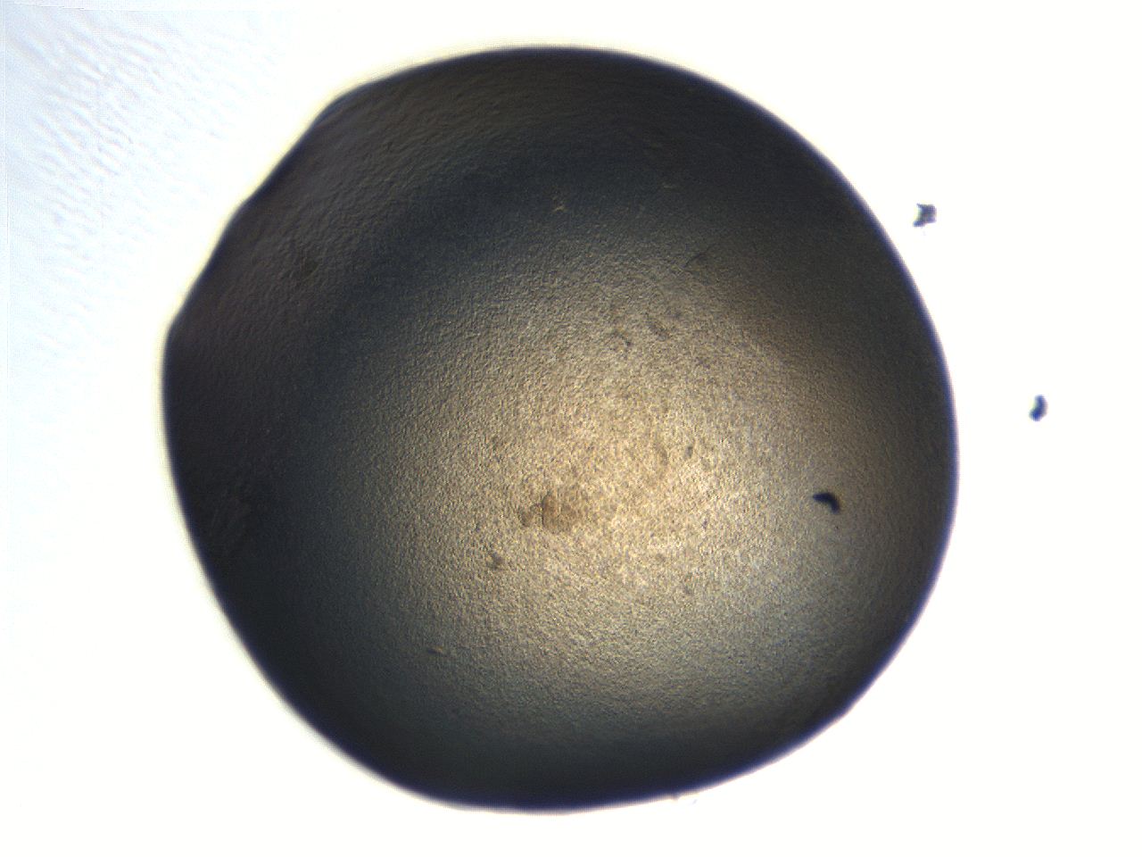 06aq_H1_ImagerDefaults_3.jpg