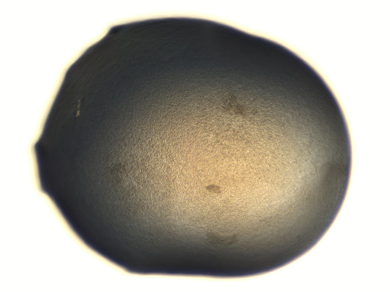 06aq_H2_ImagerDefaults_3.jpg