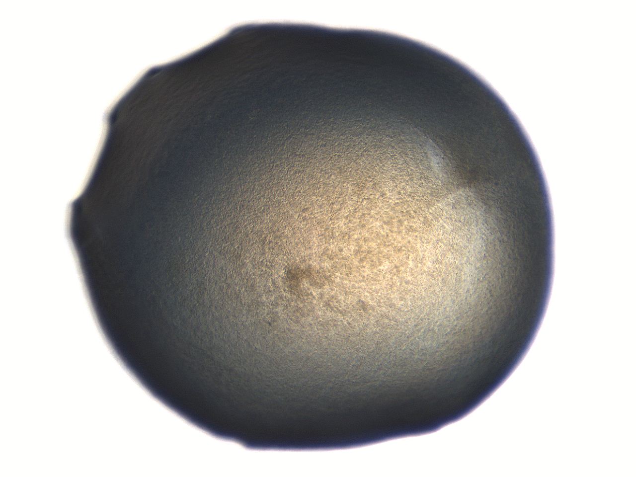 06aq_H4_ImagerDefaults_3.jpg