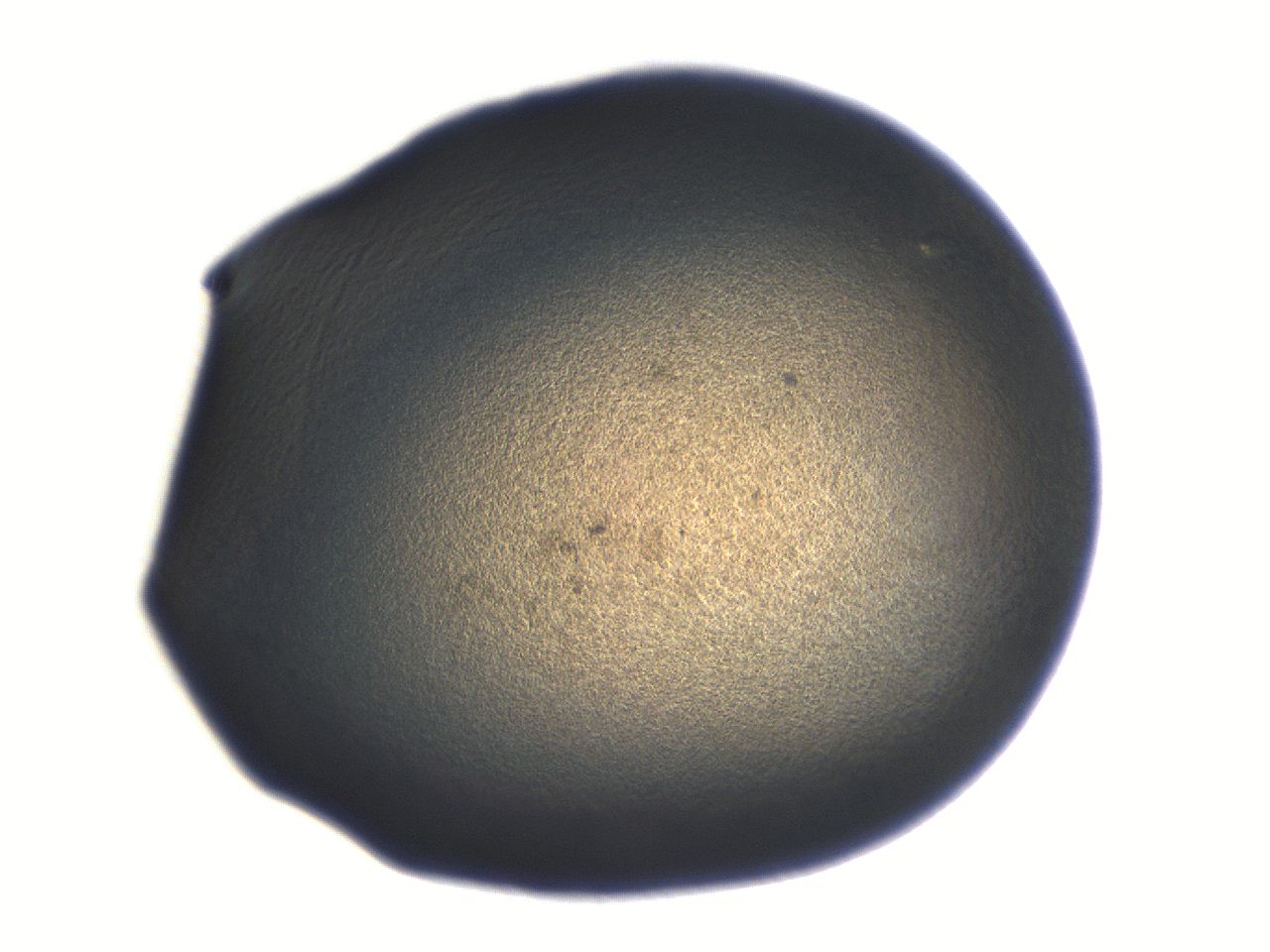 06aq_H5_ImagerDefaults_3.jpg