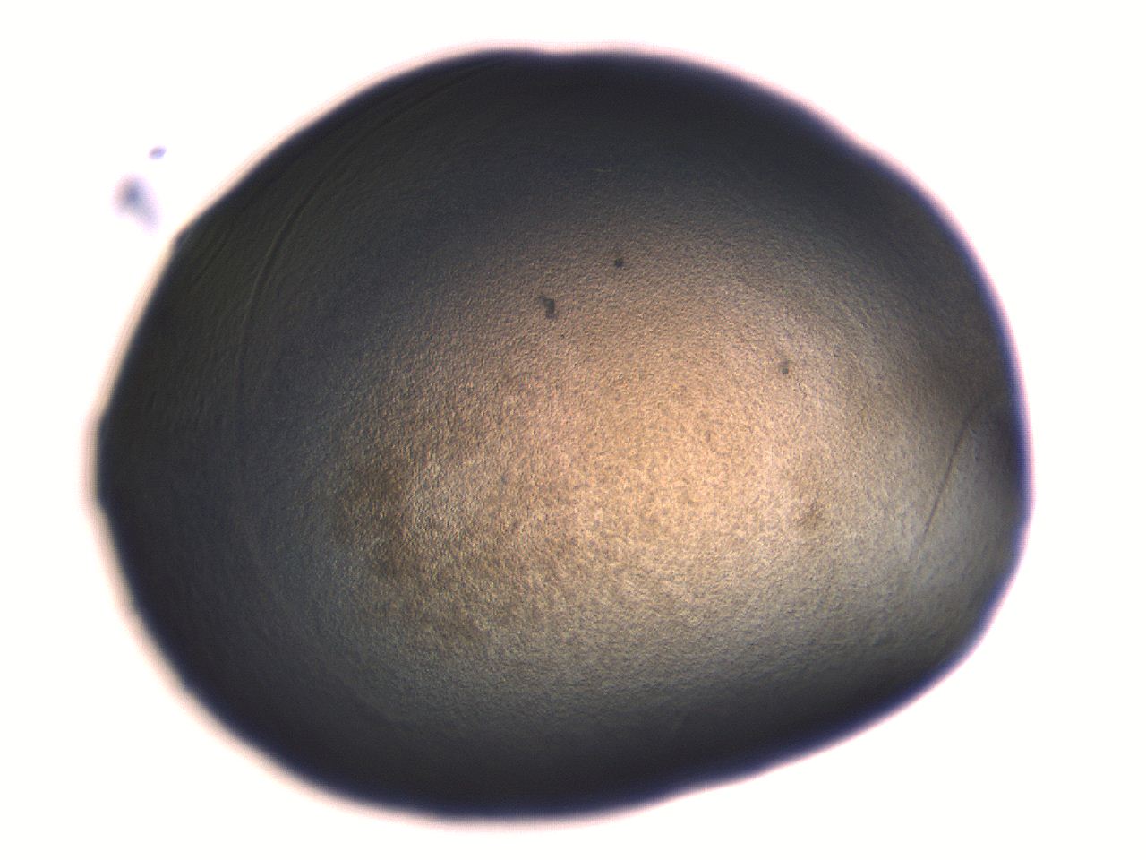 06aq_H6_ImagerDefaults_3.jpg