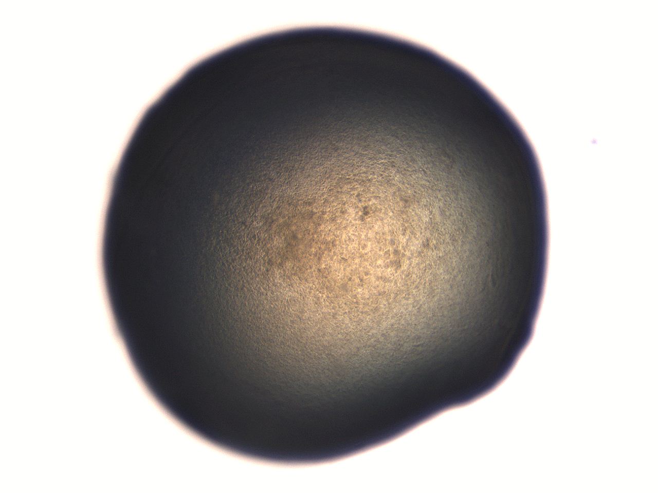 06aq_H7_ImagerDefaults_3.jpg