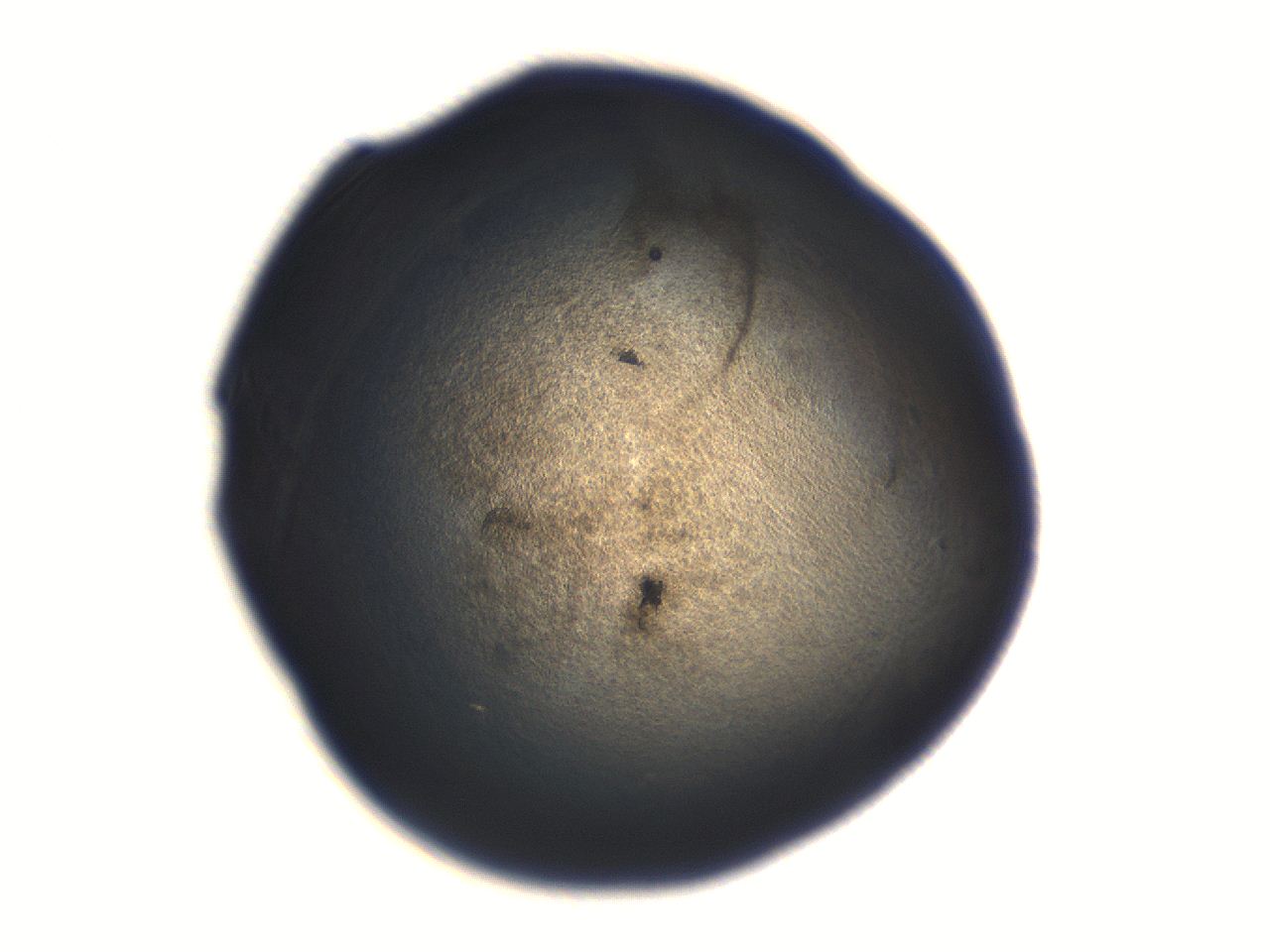 06aq_H9_ImagerDefaults_3.jpg
