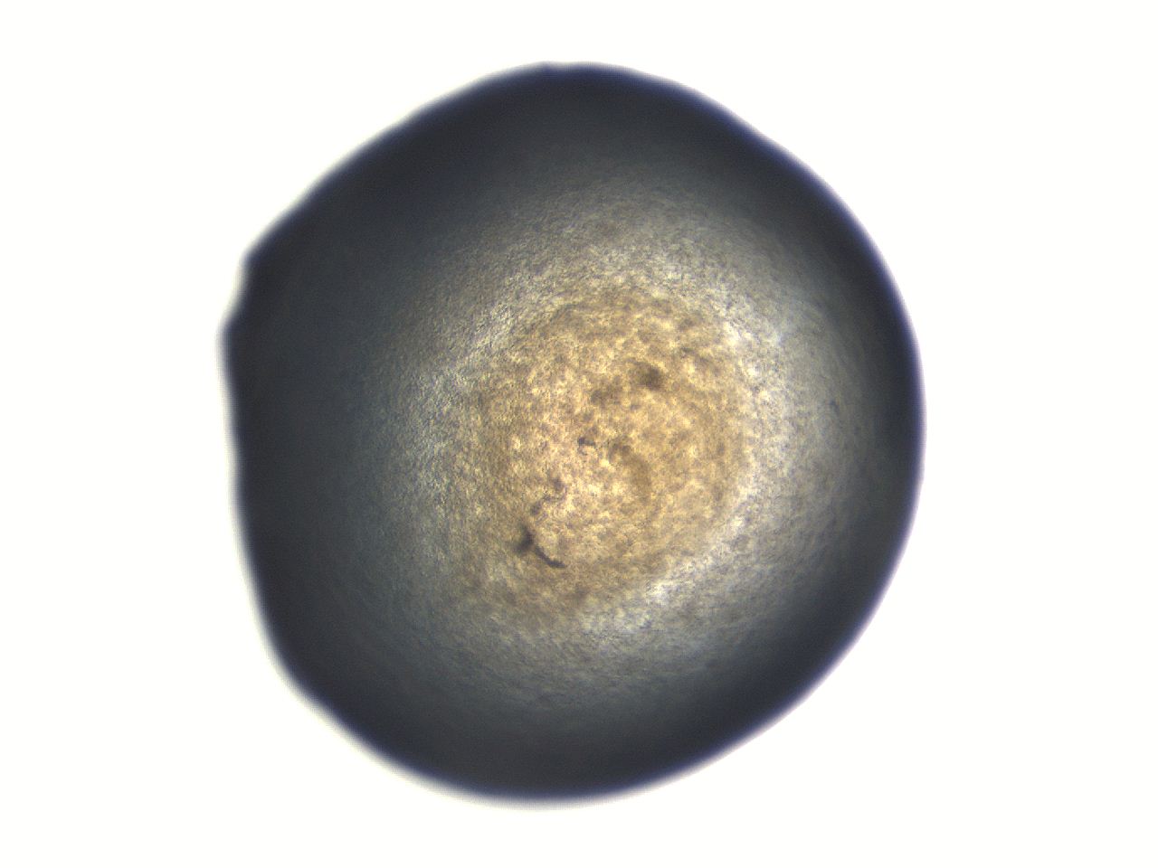 06aq_H11_ImagerDefaults_3.jpg