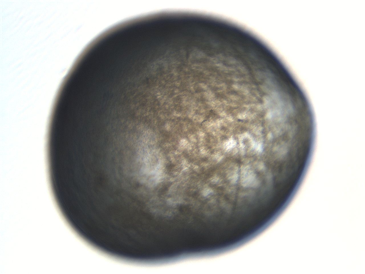 06aq_H12_ImagerDefaults_3.jpg