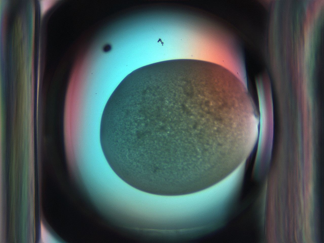 06ar_D8_ImagerDefaults_3.jpg
