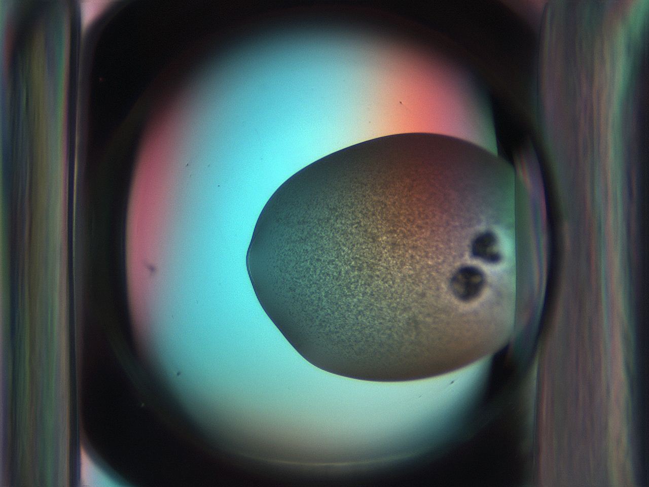 06ar_D9_ImagerDefaults_3.jpg