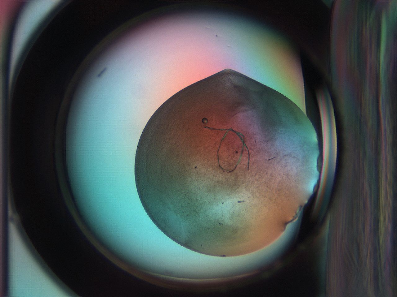 06ar_E1_ImagerDefaults_3.jpg