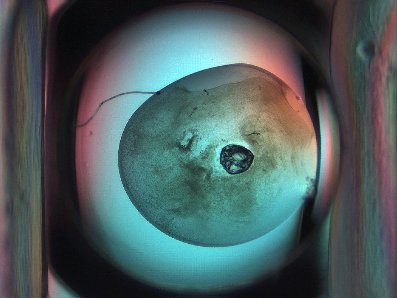 06ar_E2_ImagerDefaults_3.jpg