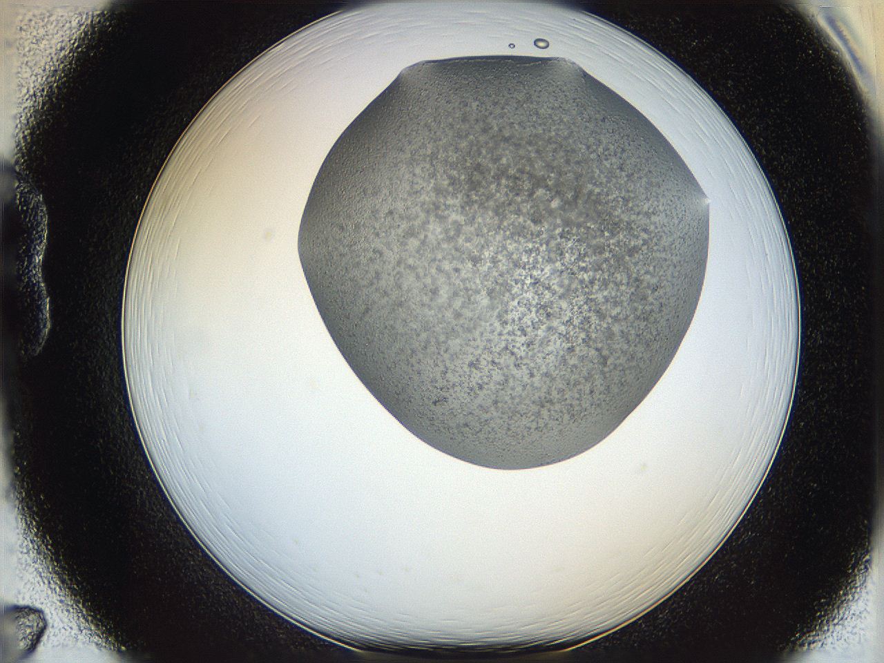 06au_B7_ImagerDefaults_0.jpg