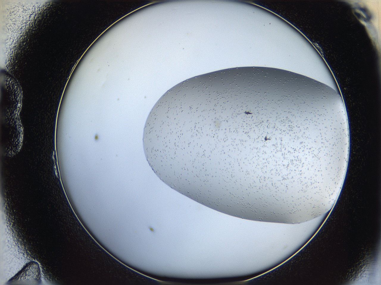 06av_B11_ImagerDefaults_0.jpg