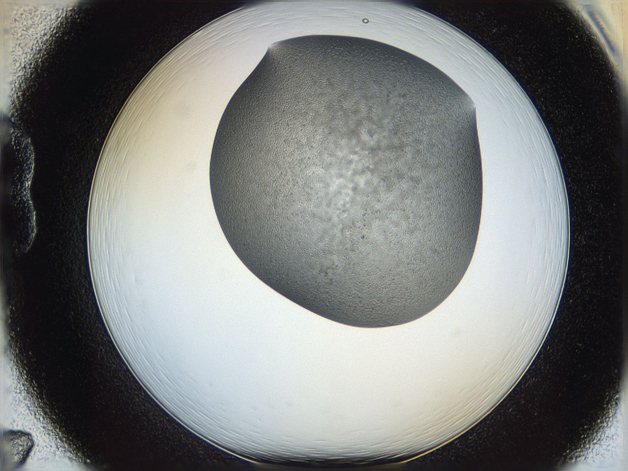 06b0_B7_ImagerDefaults_0.jpg