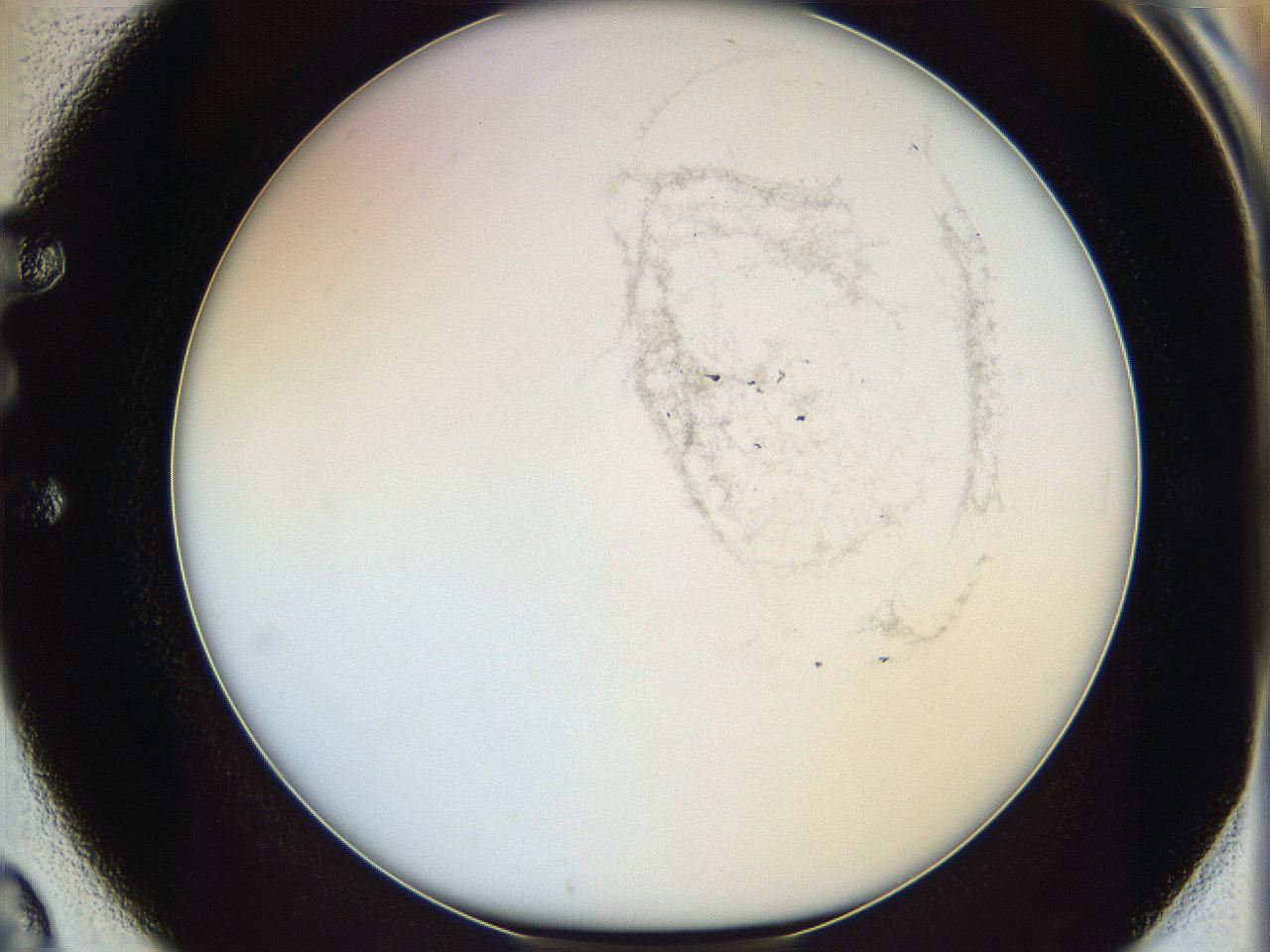 06bn_E2_ImagerDefaults_3.jpg