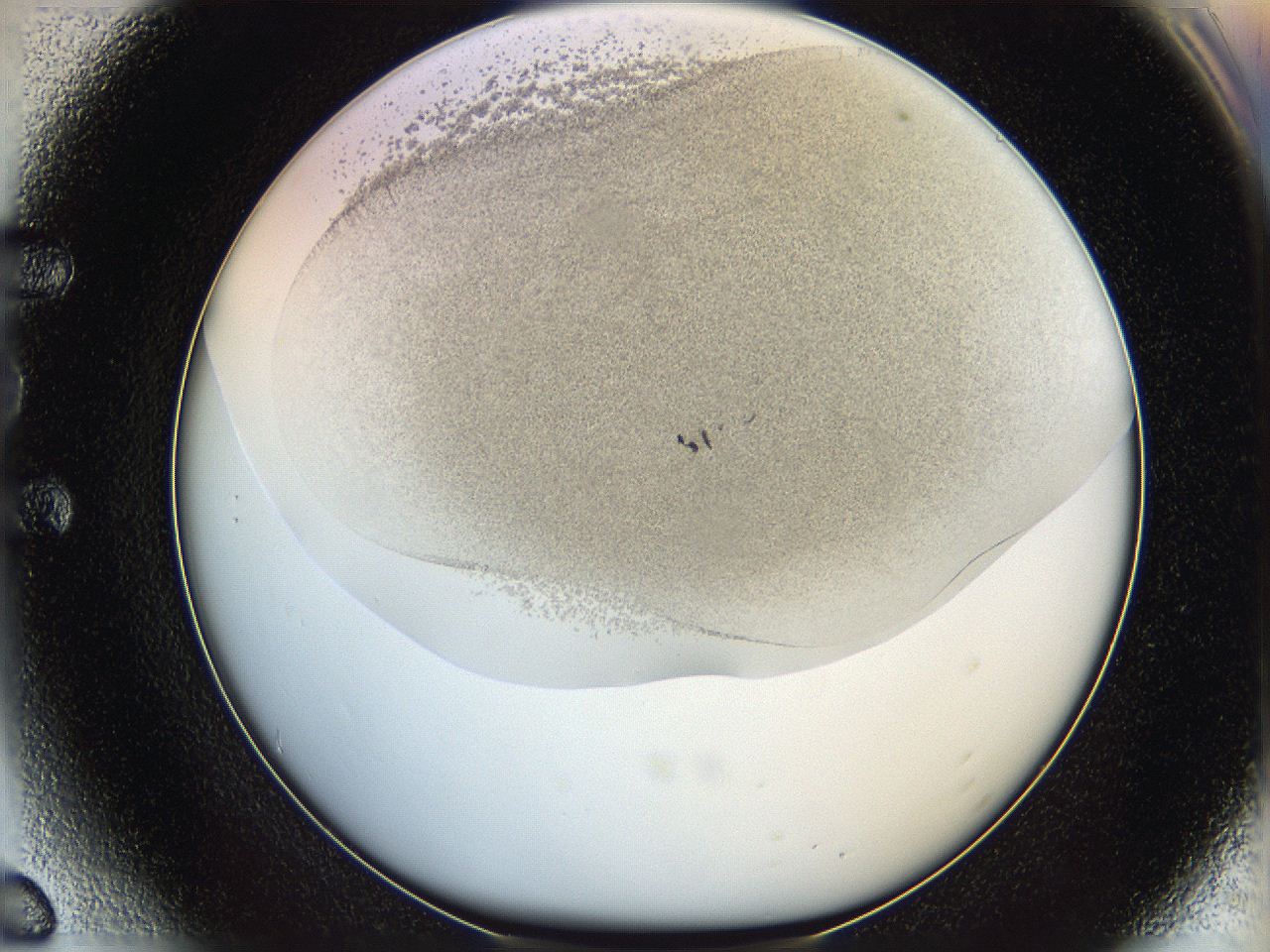 06bn_E6_ImagerDefaults_3.jpg