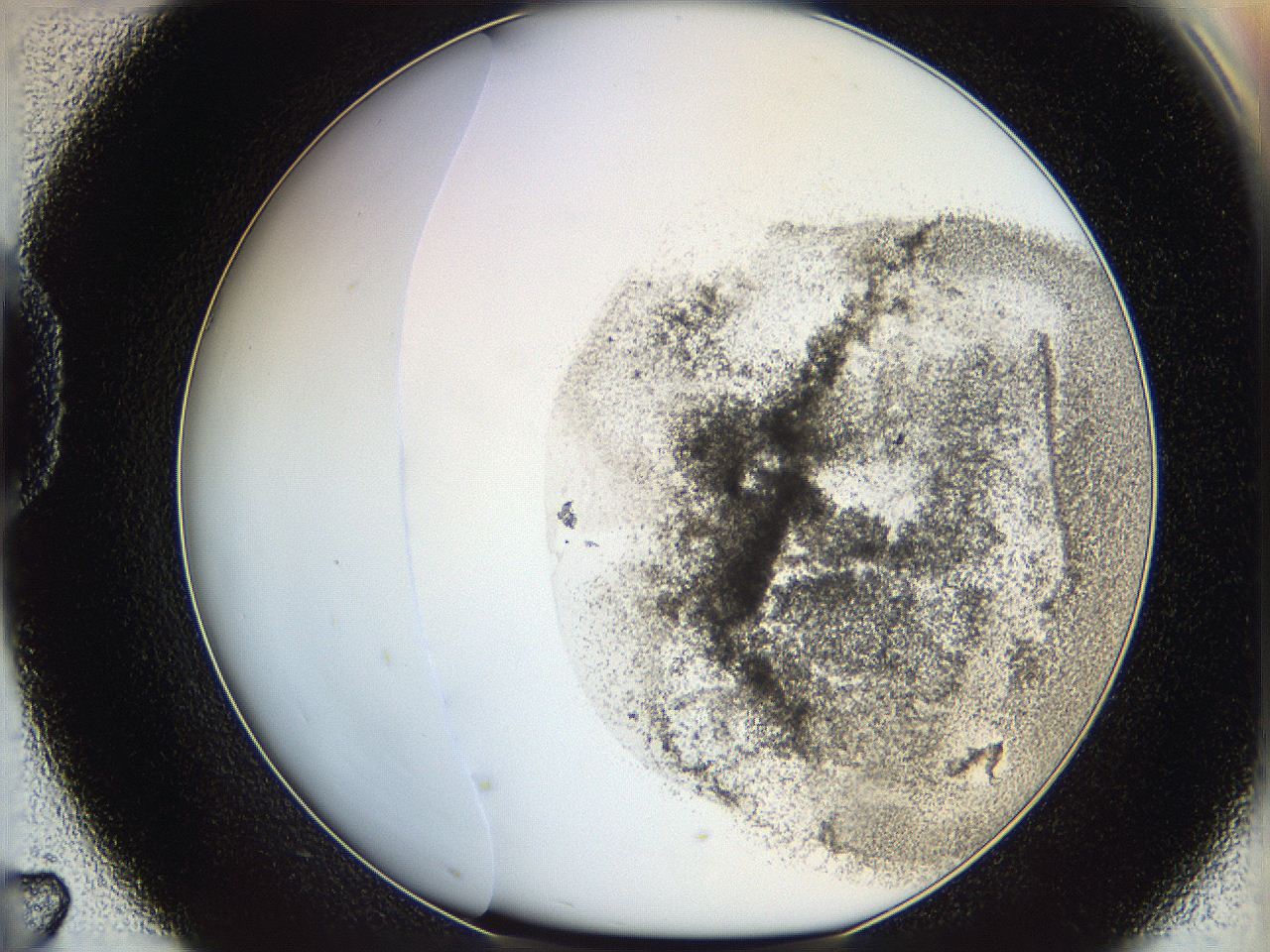 06bn_D7_ImagerDefaults_3.jpg