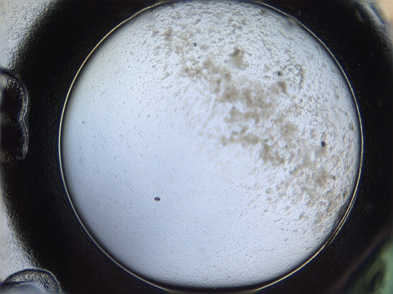 06bn_B12_ImagerDefaults_3.jpg