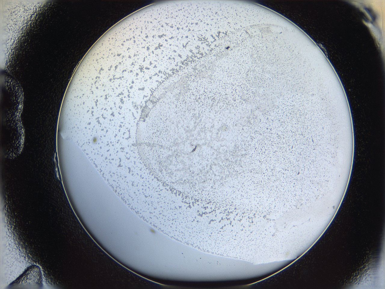 06bn_B11_ImagerDefaults_0.jpg