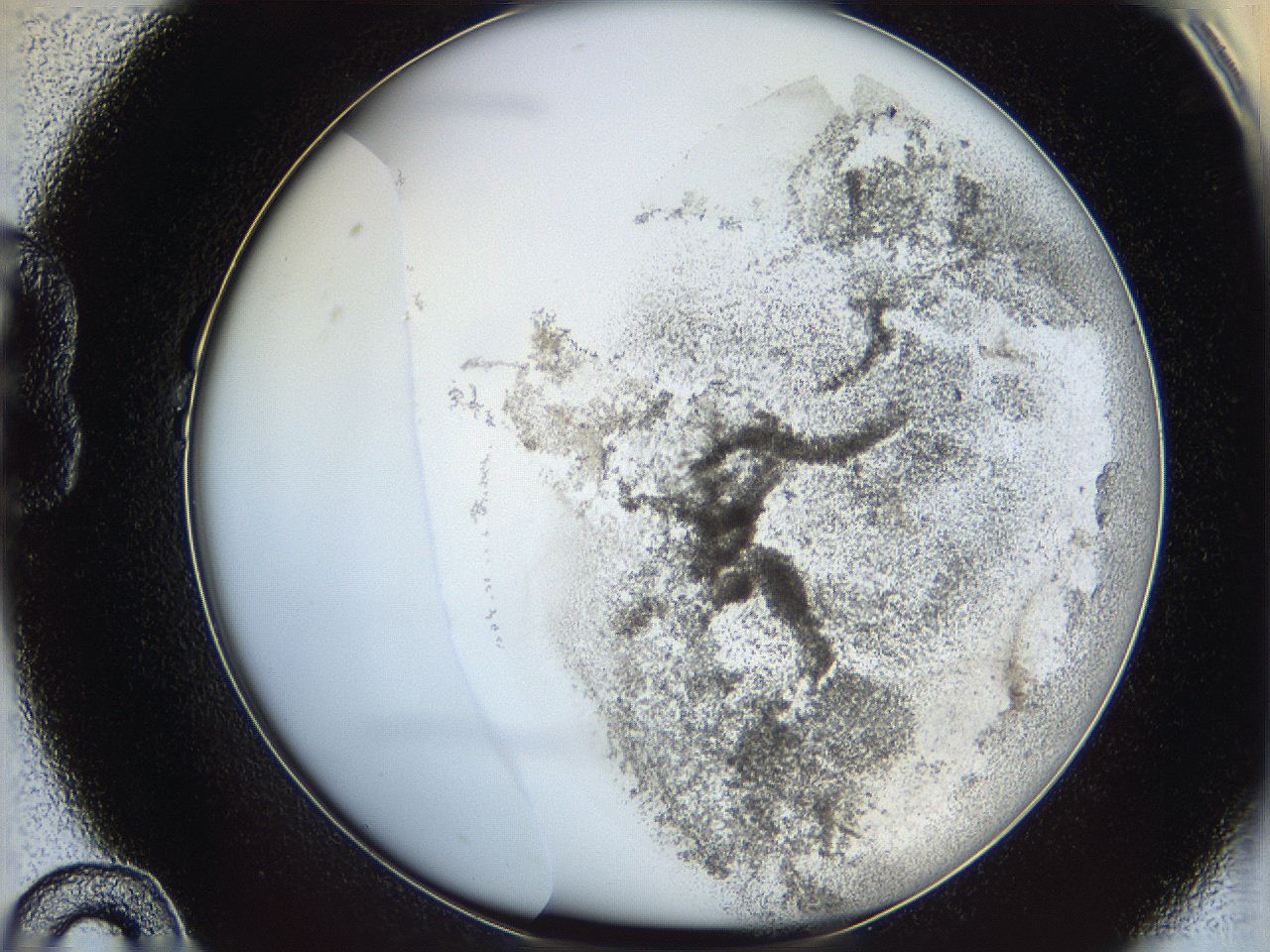 06bn_B10_ImagerDefaults_3.jpg