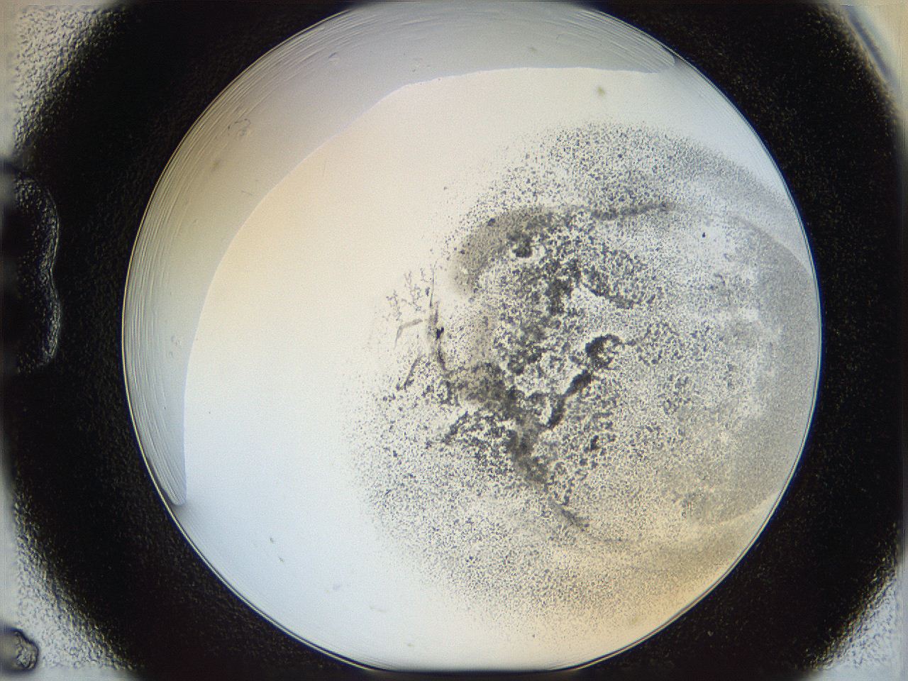 06bn_B6_ImagerDefaults_3.jpg