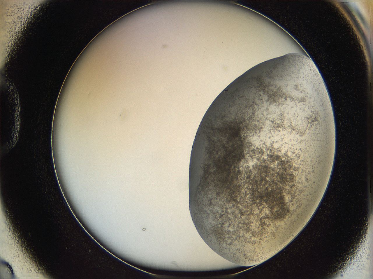 06bn_D2_ImagerDefaults_3.jpg