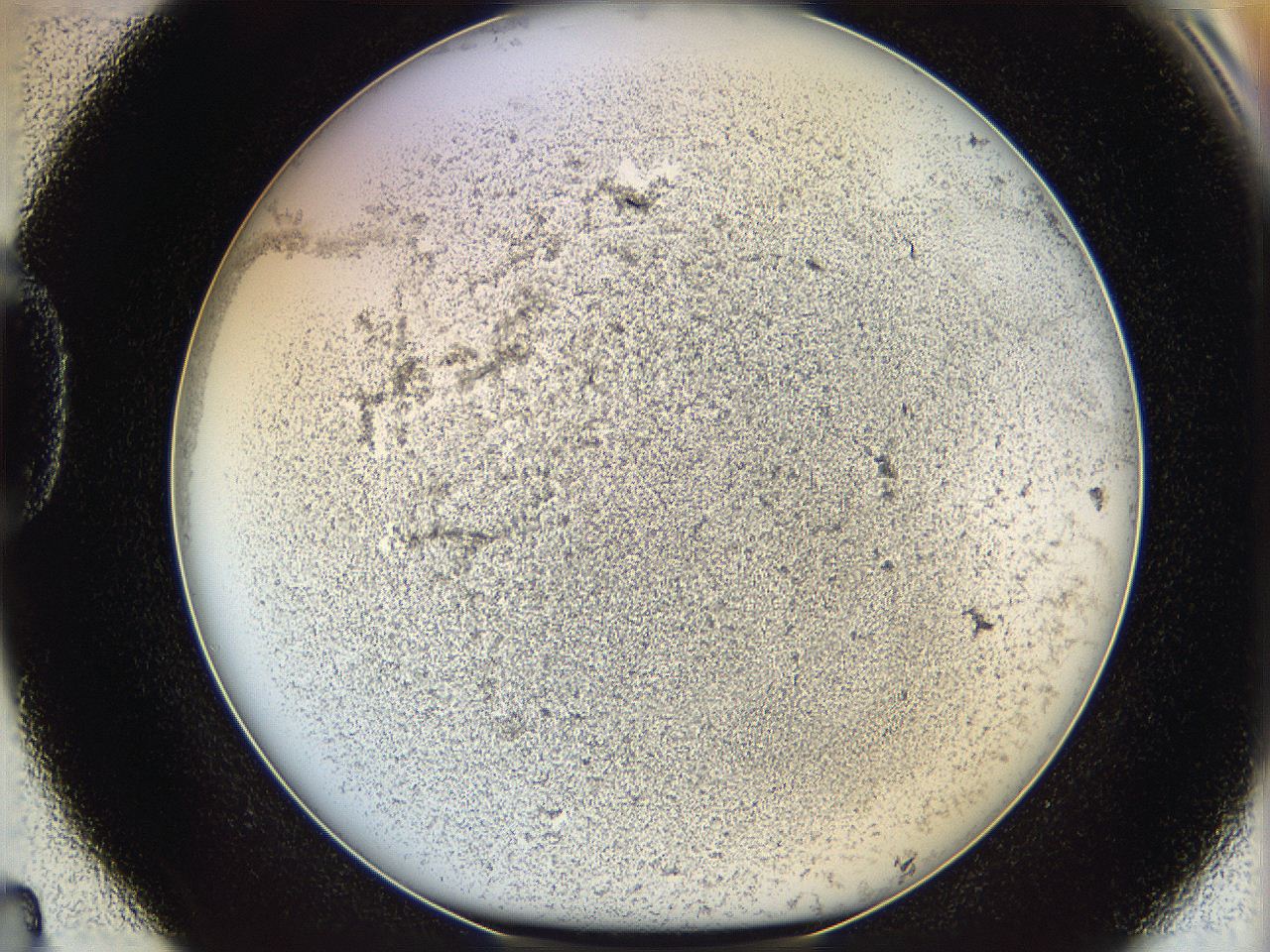06bn_D4_ImagerDefaults_3.jpg