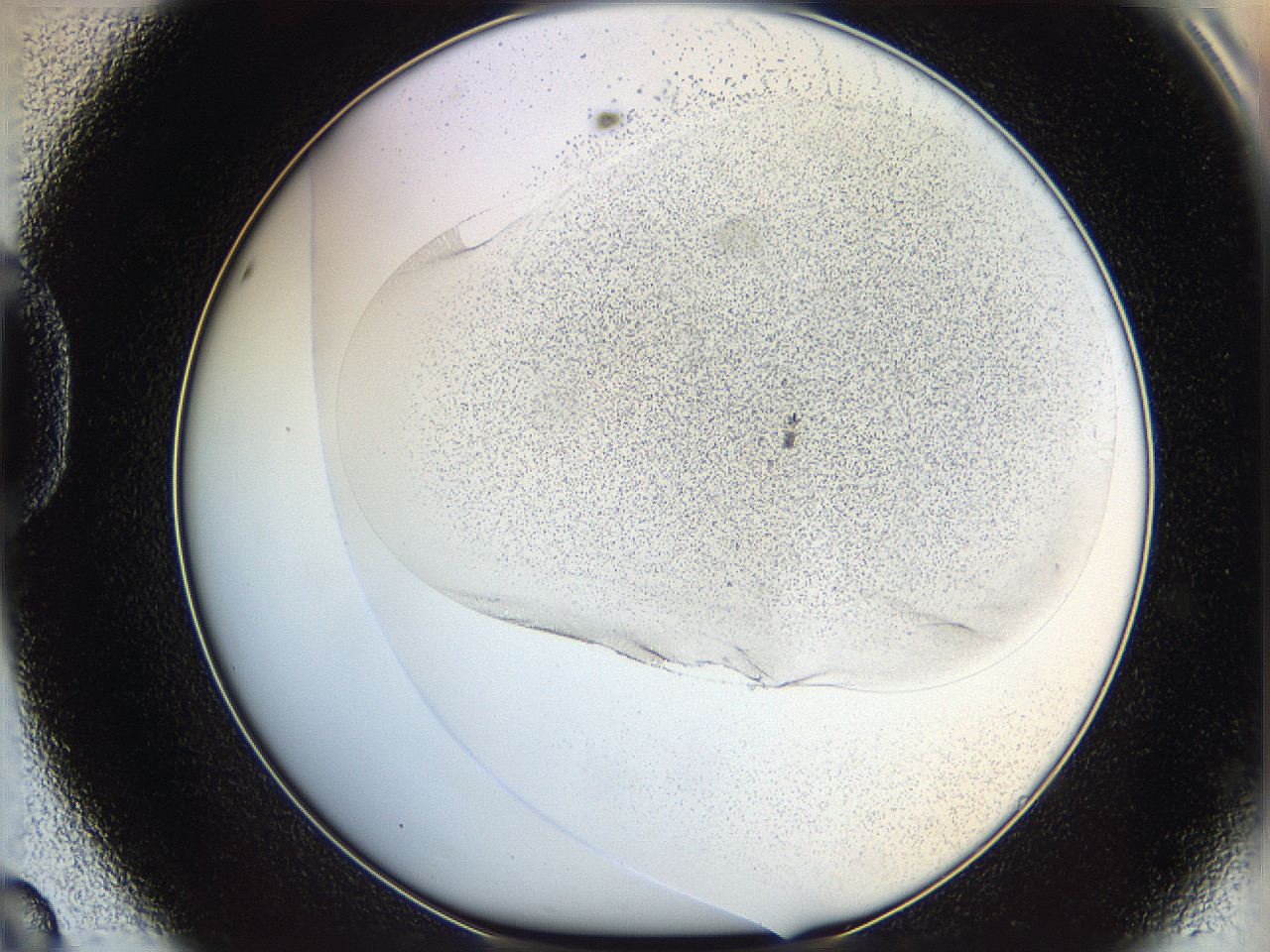 06bn_D8_ImagerDefaults_0.jpg